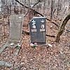 Быкова Ольга Алексеевна