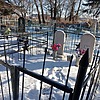Горваль Дмитрий Моисеевич
