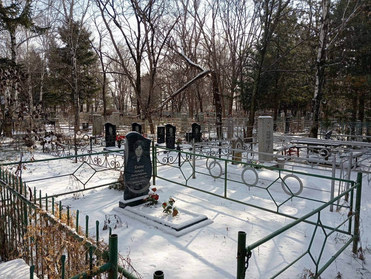 Енина Надежда Александровна