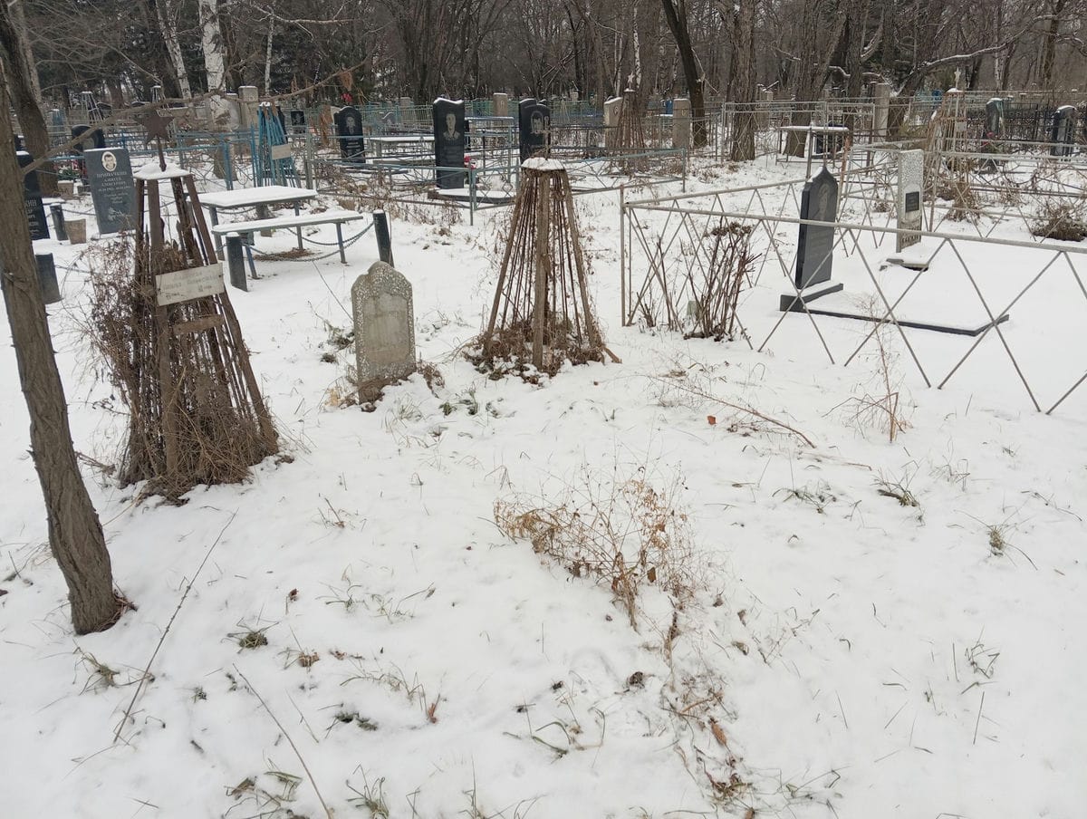 Андреева Наталья Никифоровна