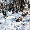 Мишин Игорь Владимирович