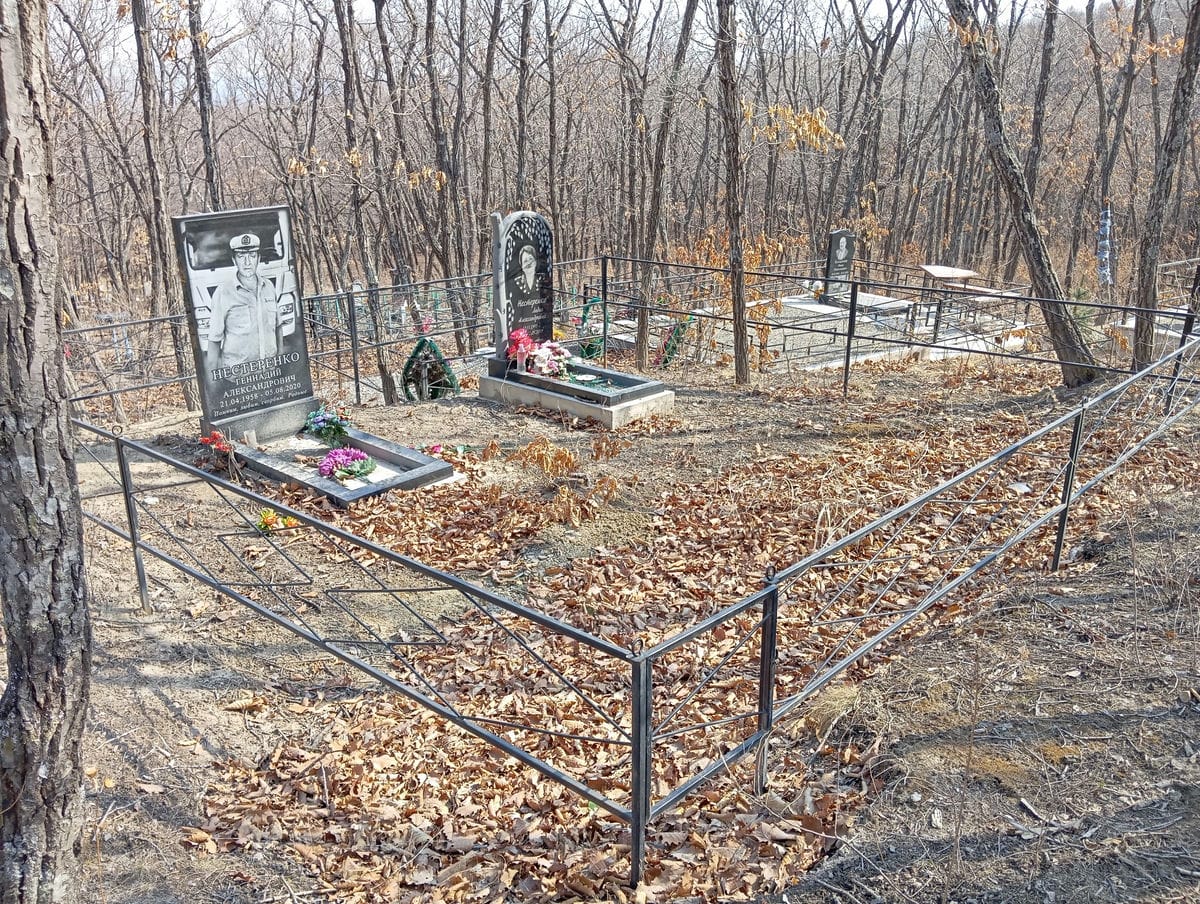 dff37a8a-cb7d-442d-89be-2eb5caeb0a13 Нестеренко Лидия Александровна