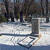 Наймушина Нина Васильевна