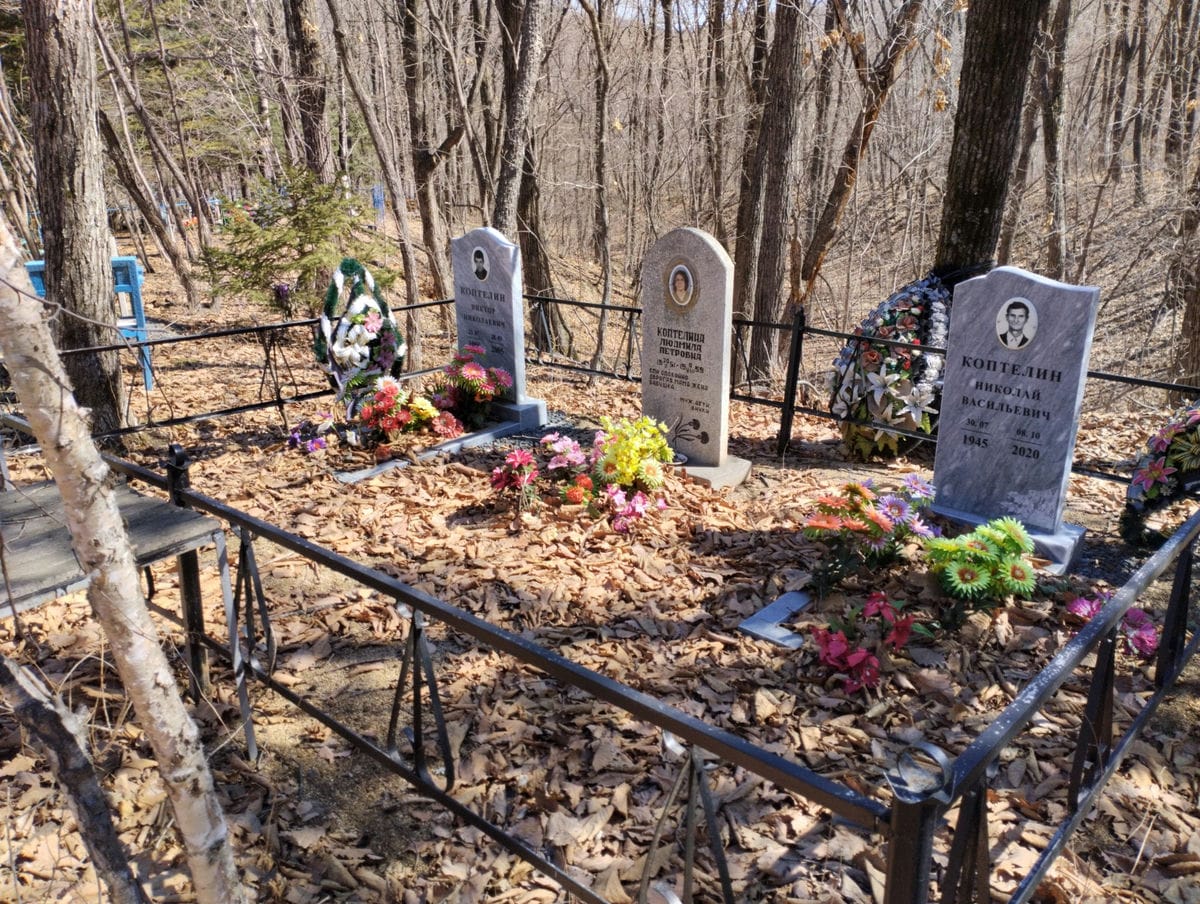 e066880d-26f1-49ee-aa27-b40208e803a9 Коптелин Николай Васильевич