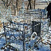 Коровушкин Алексей Анатольевич