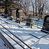 Синельников Женя Неизвестно