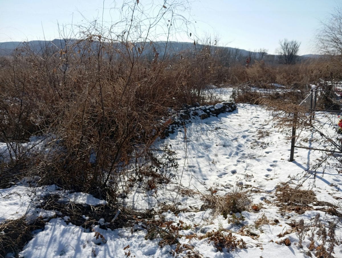 Неизвестно Неизвестно Неизвестно