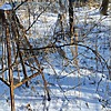 Неизвестно Неизвестно Неизвестно