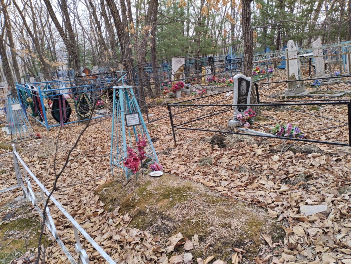 e46639b0-ad9d-467e-87f5-464a7f63cf47 Савенко Геннадий Васильевич