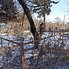 Неизвестно Неизвестно Неизвестно