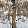 Неизвестно Неизвестно Неизвестно