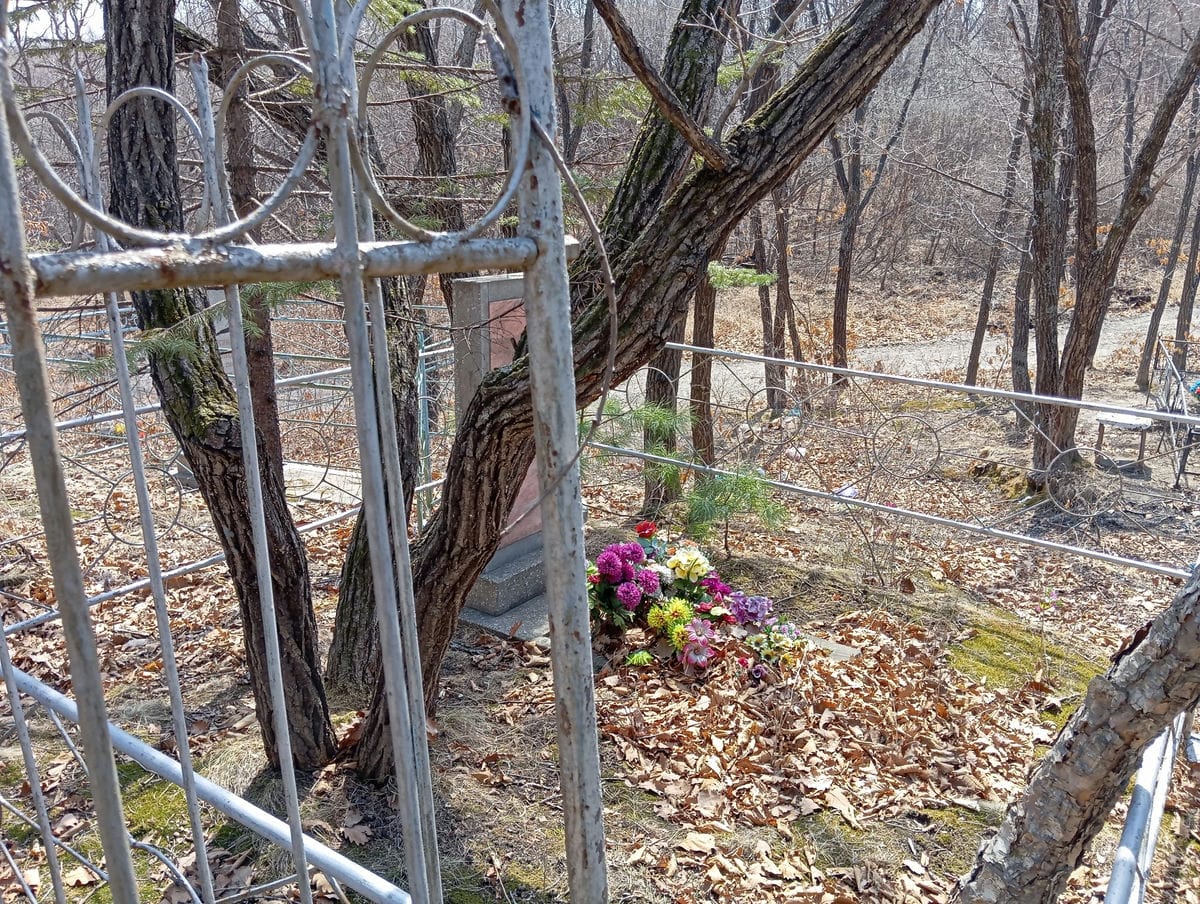 e6700991-3785-4631-b778-ca6fec89b01a Ясянькина Анастасия Григорьевна