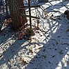 Неизвестно Неизвестно Неизвестно