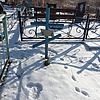 Колядчук Мария Николаевна