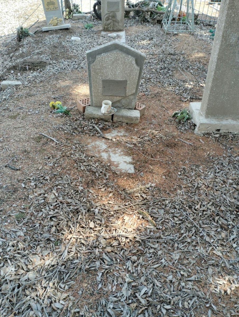 Бохонова Зинаида Николаевна