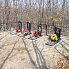 Пелих Наталья Ивановна
