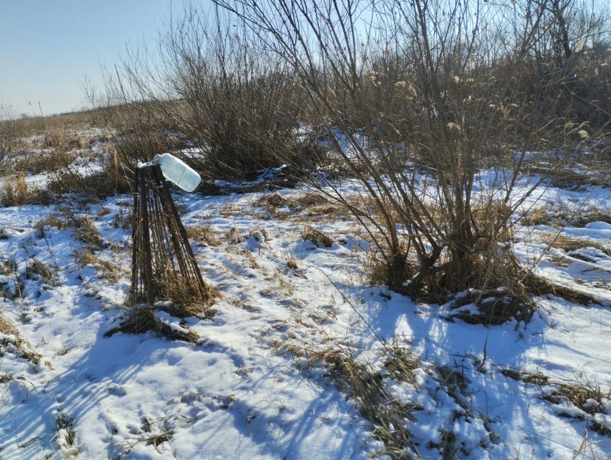 Неизвестно Неизвестно Неизвестно