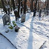 Алхимова Анастасия Андревна
