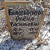 Бикейкина Олена Васильевна