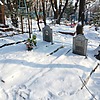 Алхимова Анастасия Андревна