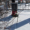 Ким Бок Тек