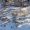 Неизвестно Неизвестно Неизвестно