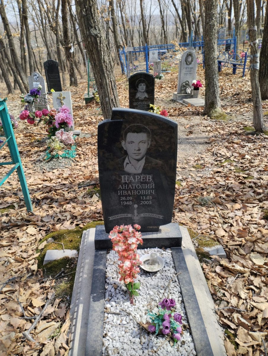 f8eefa7f-1942-419c-9a02-908eb50fbcba Царев Анатолий Иванович