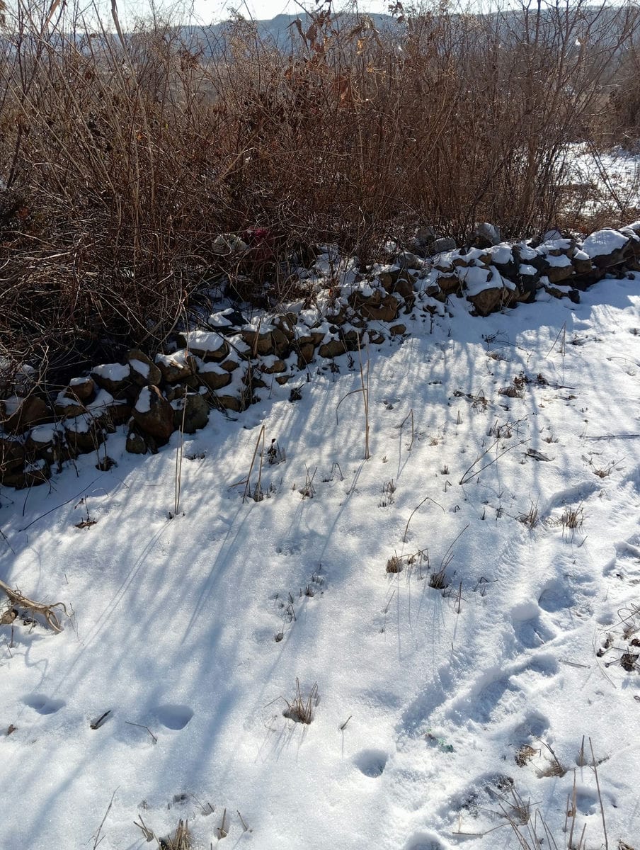 f922ebc5-84f4-4370-9aed-339fee3df346 Неизвестно Неизвестно Неизвестно