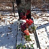 Шило Екатерина Петровна