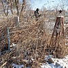 Борисов Степан Константинович