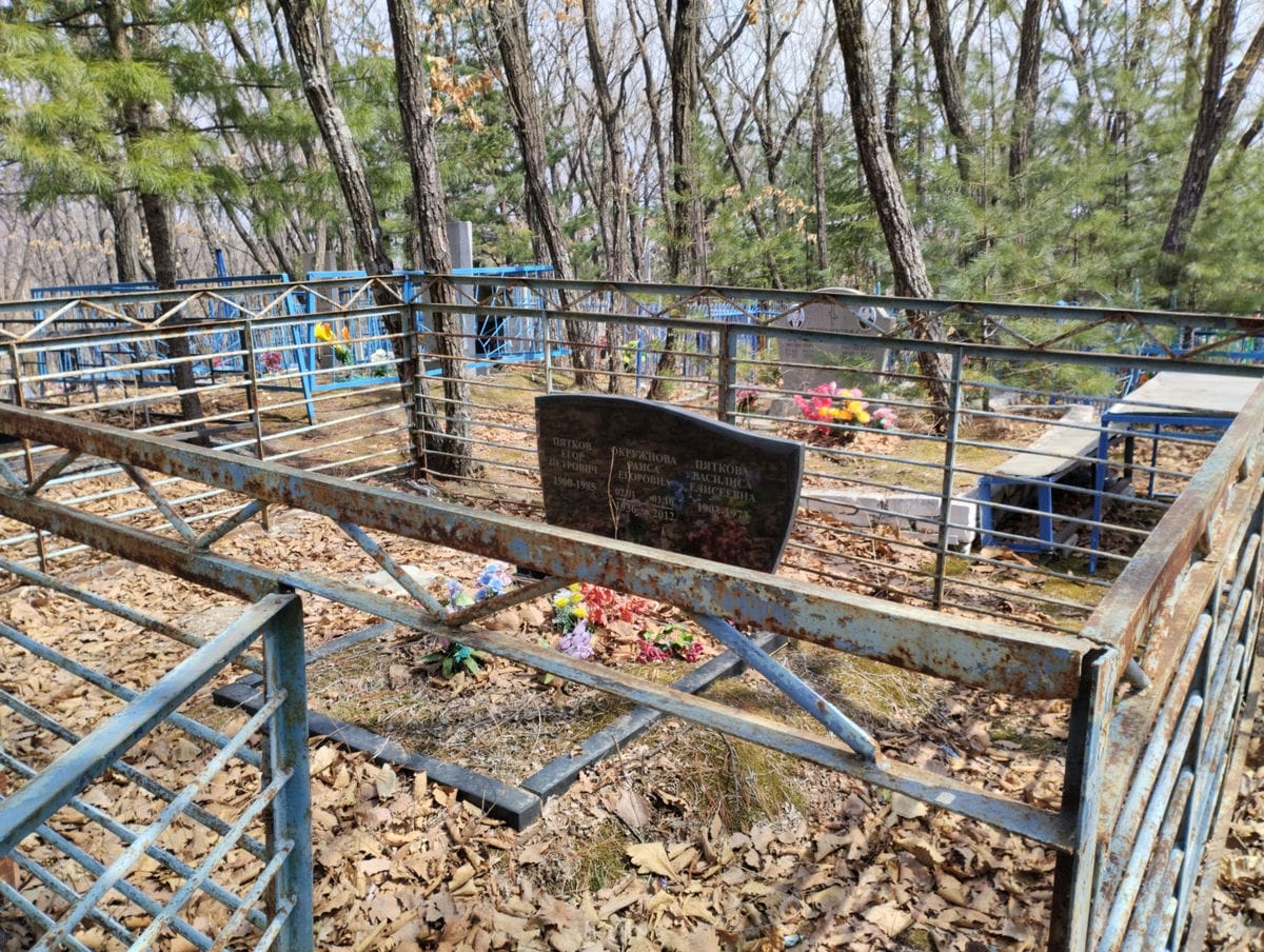 feecd37c-581b-4d83-9074-cb190efff7b4 Пяткова Василиса Елисеевна