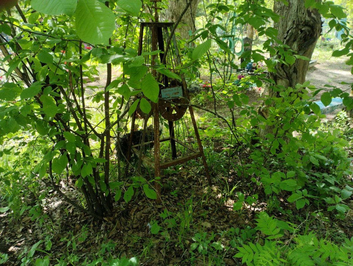 Федореева Н И