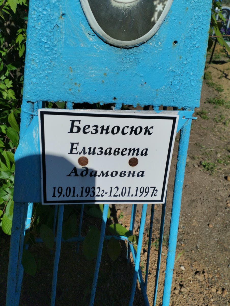 050ad2eb-0689-4570-9d04-aa97b53c7b2e Безносюк Елизавета Адамовна