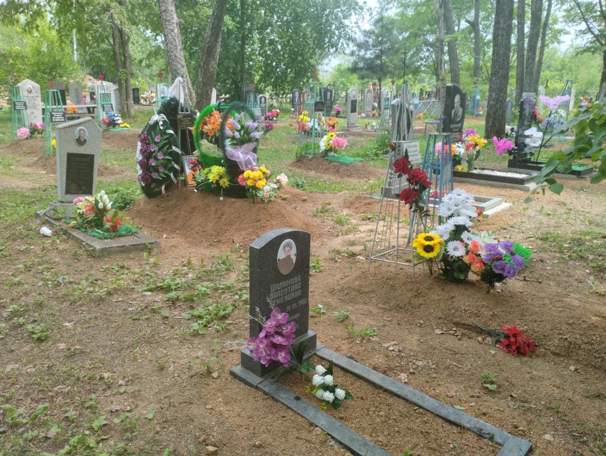 06886920-d476-4718-9e23-c166649a4711 Шалимова Валентина Семёновна