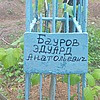 Бауров Эдуард Анатольевич
