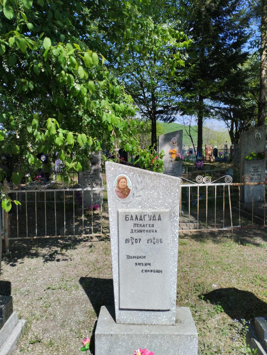 0e50332f-d454-41b4-b3eb-636da8af5d71 Балагуда Пелагея Денисовна