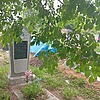 Сеник Михаил Григорьевич