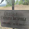 Орлова Светлана Викторовна