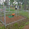 Козловская Анна Яковлевна