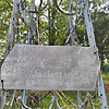 Лавриненко Марфа Г
