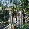 Мазур Антонина Митрофановна
