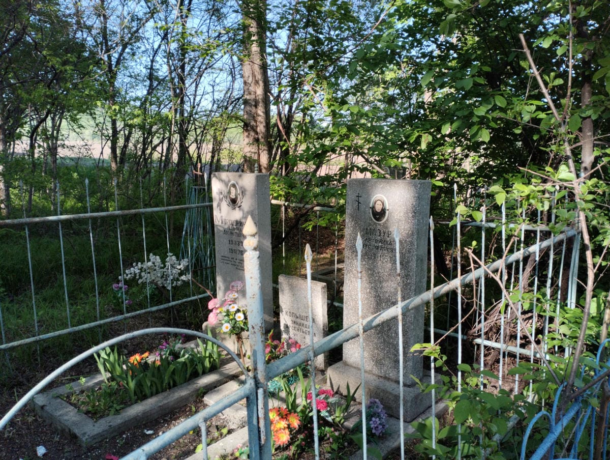 1ba17280-06a8-487b-b01d-27974c30ff37 Мирошниченко Татьяна Арсентьевна