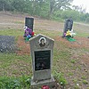 Старухина Софья Александровна