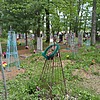 2606b981-450c-4045-a2b7-349610343adb Тютюнник Надежда Петровна