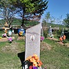 Сокодина Мария Михайловна