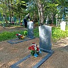 Жорж Федосий Павлович