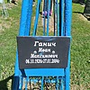 Ганич Иван Максимович