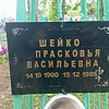 Шейко Прасковья Васильевна