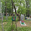 45bdbb79-7b67-4689-8f9a-d2f179a77e85 Тютюнник Надежда Петровна