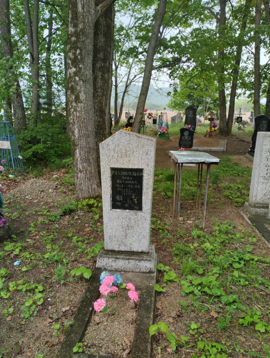 48e2bc1f-9173-4b68-8280-119418768f54 Раздобудько Анна Ивановна
